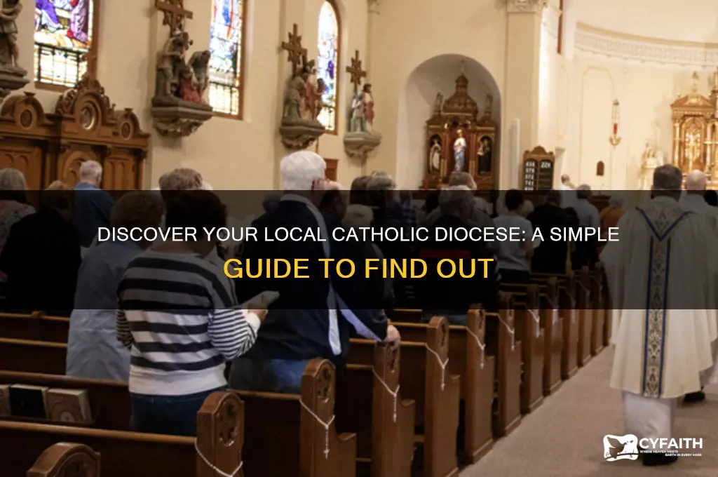 which catholic diocese am i in