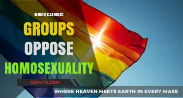 Catholic Organizations and Their Stance Against Homosexuality: An Overview