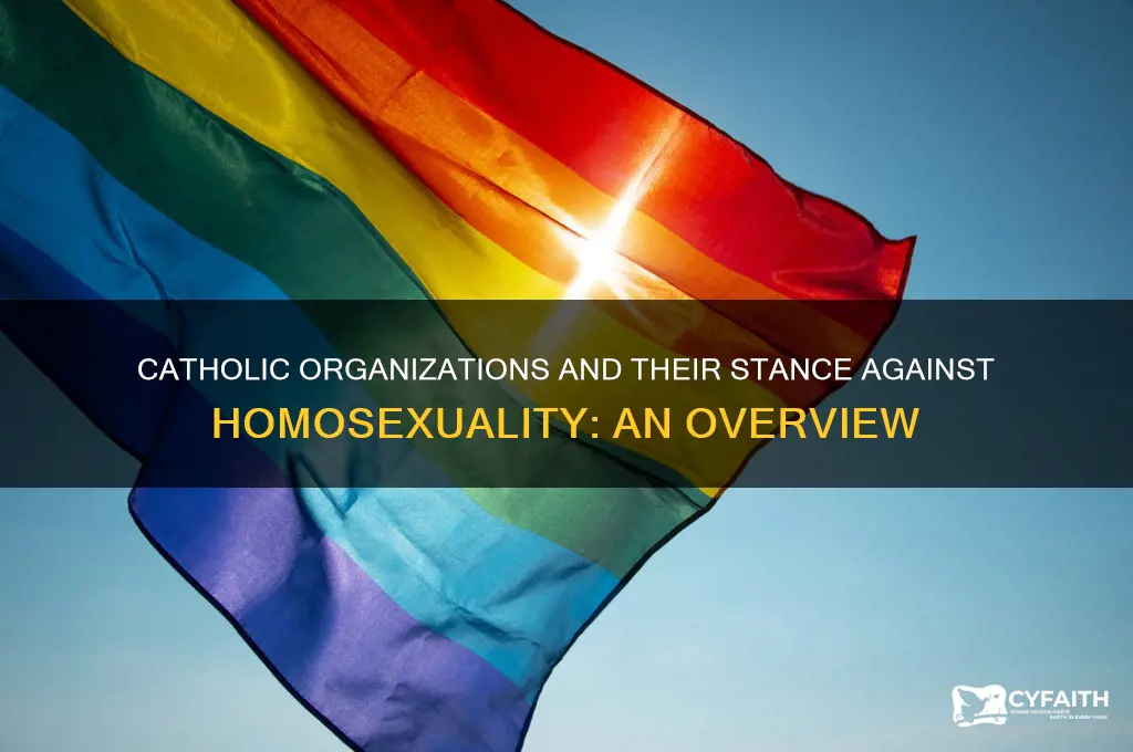 which catholic groups oppose homosexuality
