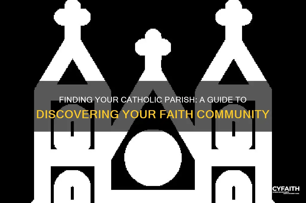 which catholic parish do i belong to
