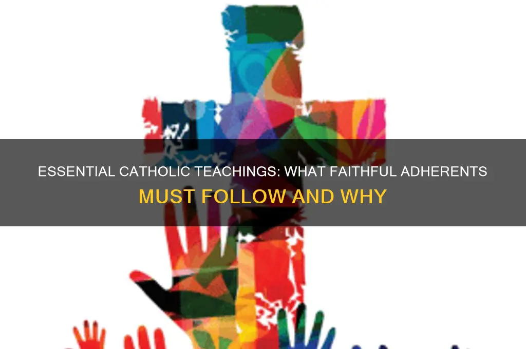 which catholic teachings are catholics required to follow