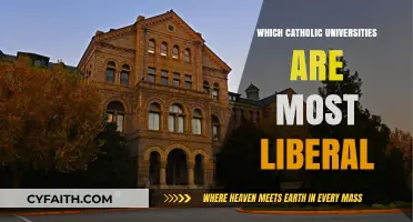Exploring the Most Liberal Catholic Universities in America Today