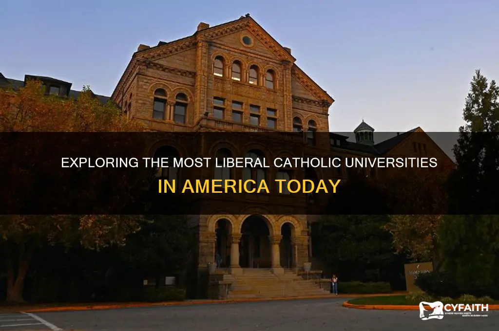 which catholic universities are most liberal