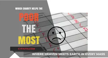 Effective Charities: Helping the Poor