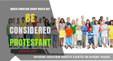 Which Christian Denominations Remain Outside the Protestant Tradition?