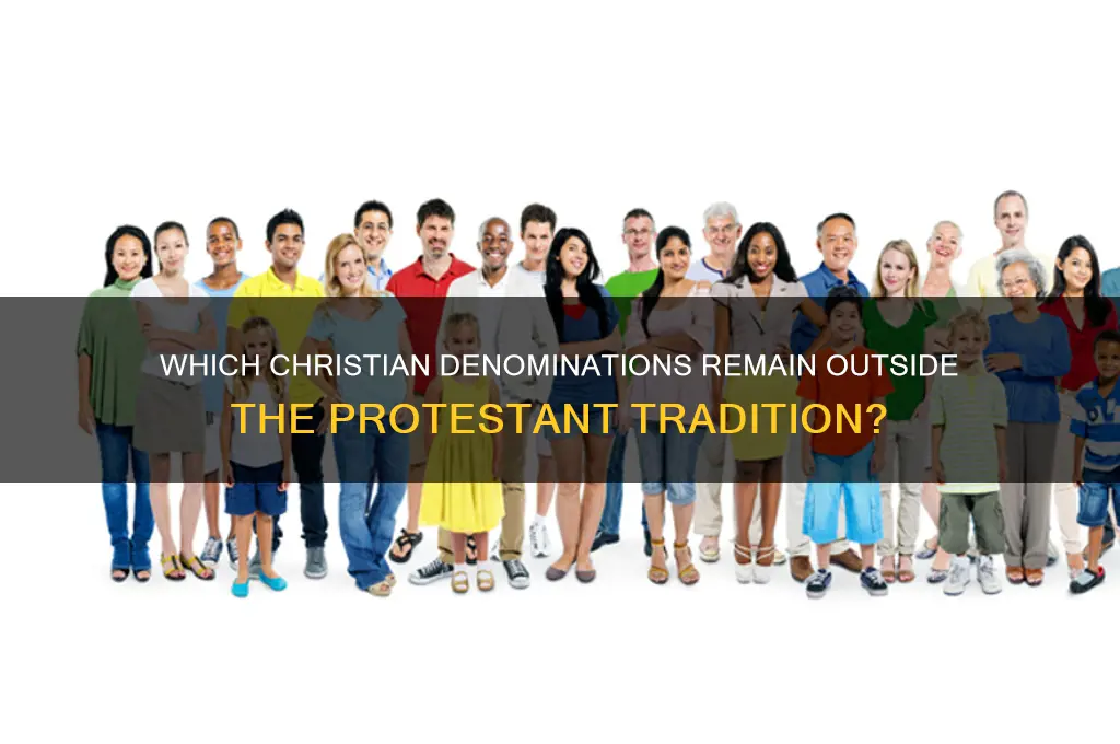 which christian group would not be considered protestant