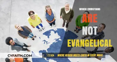 Exploring Christian Diversity: Beyond the Evangelical Spectrum