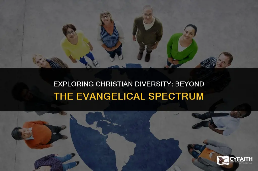 which christians are not evangelical
