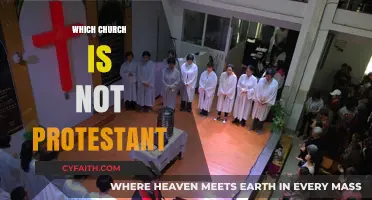 Exploring Non-Protestant Churches: A Guide to Diverse Christian Denominations