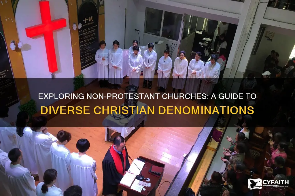 which church is not protestant