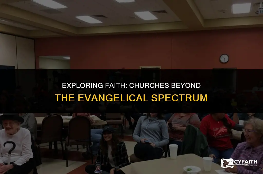 which churches are not considered evangelical