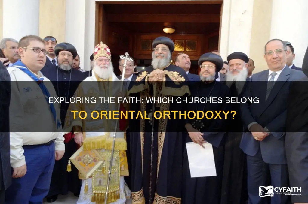 which churches are oriental orthodox