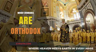 Understanding Orthodox Christianity: Identifying Churches and Their Traditions
