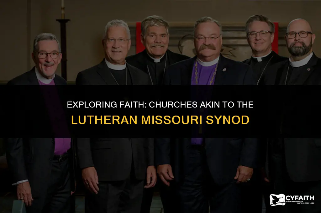 which churches are similar to lutheran missouri synod