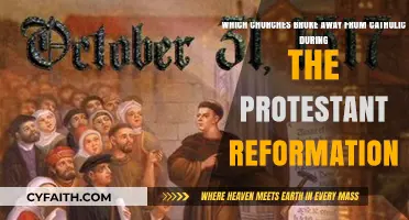 Protestant Reformation: Churches That Split from the Catholic Church