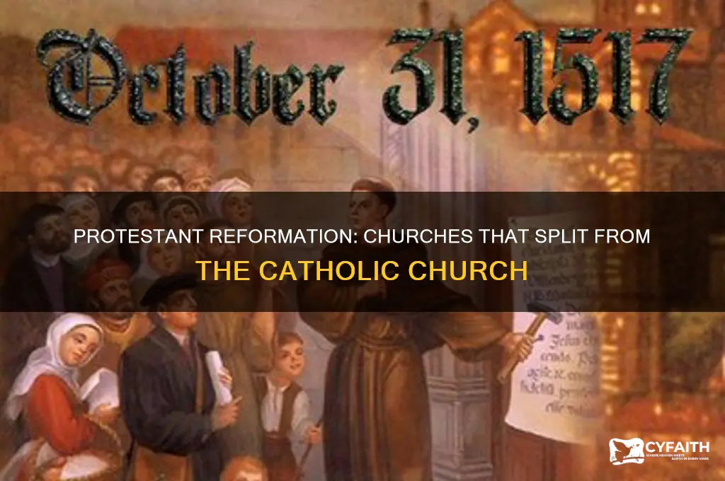 which churches broke away from catholic during the protestant reformation