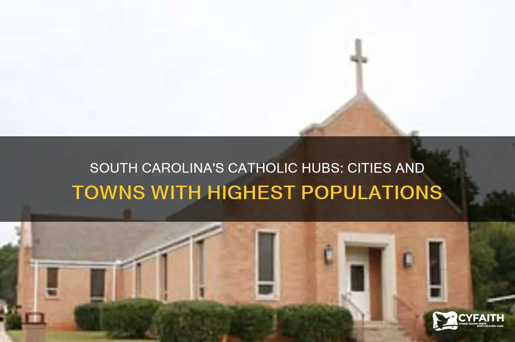 which cities or towns in sc have the most catholics