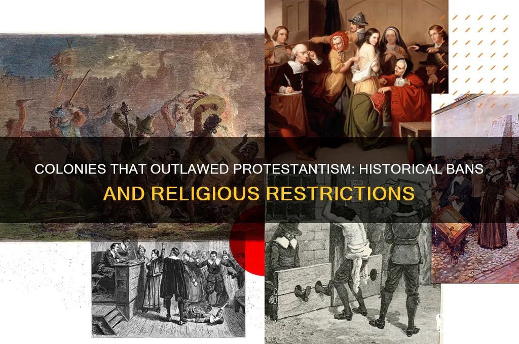 which colonies banned protestant