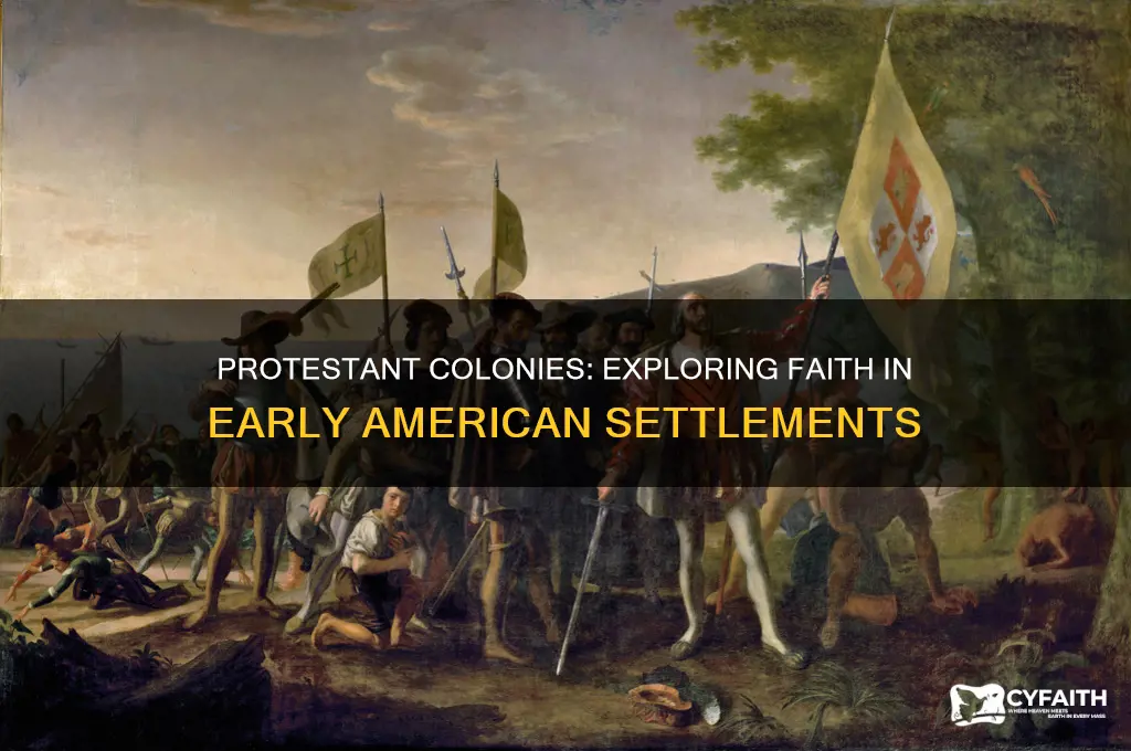 which colonies had protestant religion