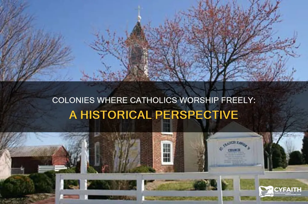 which colony catholics worship freely