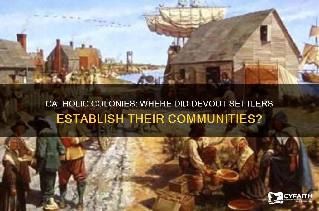 which colony did the catholics go to