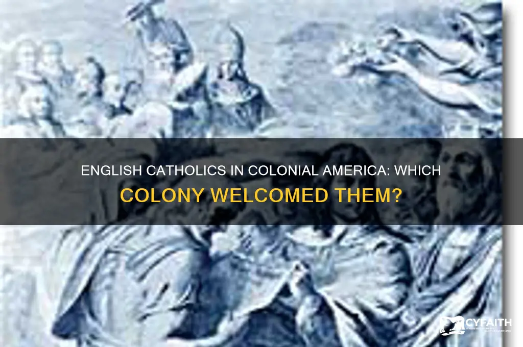 which colony had english catholics