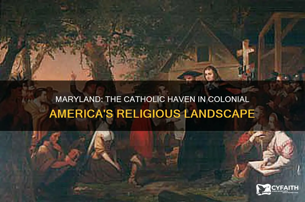 which colony was a catholic haven