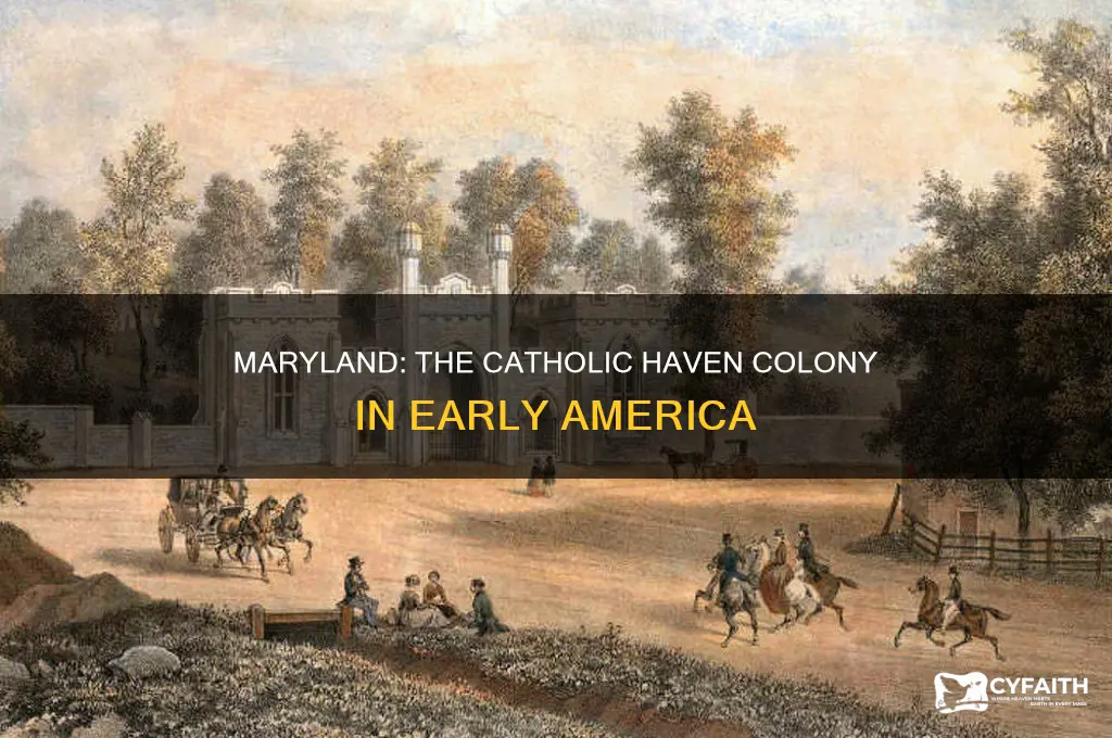 which colony was created as a haven for catholics