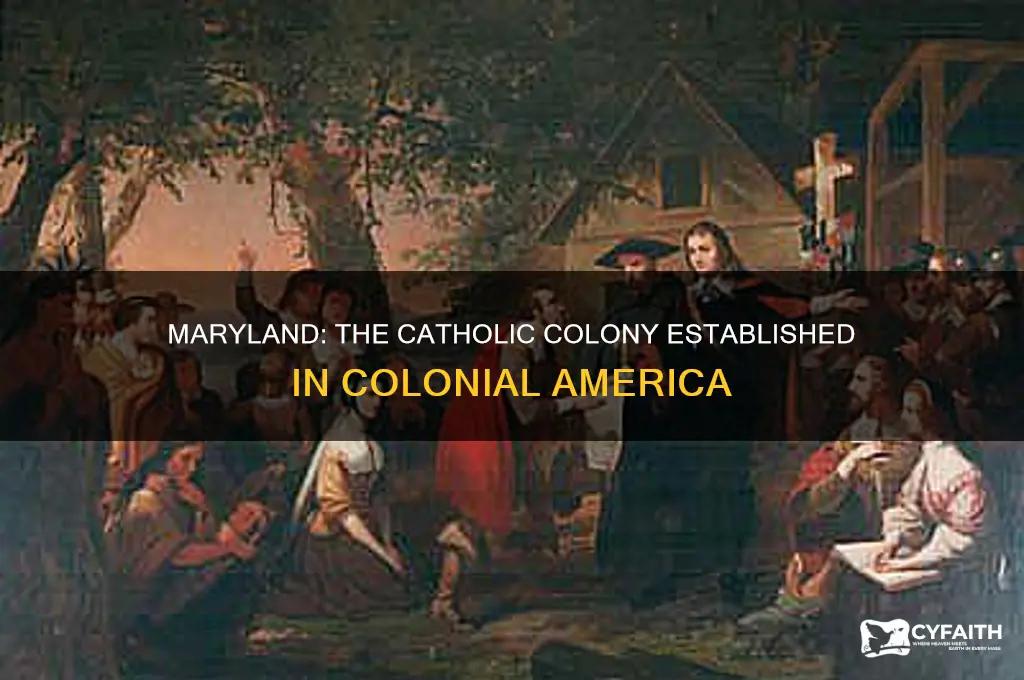 which colony was established as a catholic colony