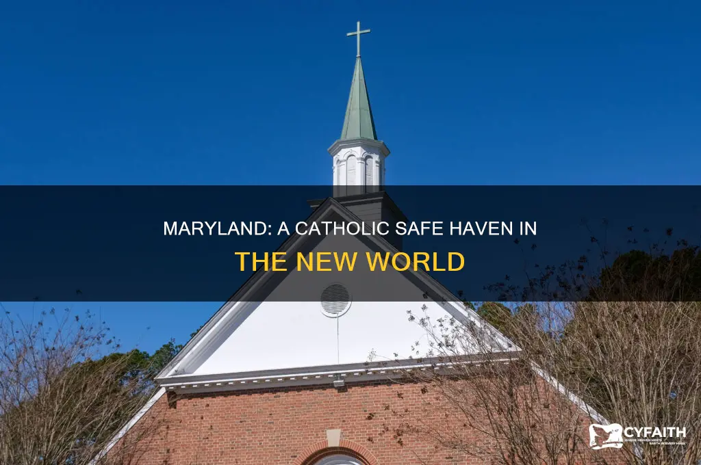 which colony was established as a safe haven for catholics