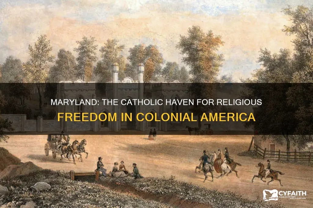 which colony was founded so catholics could worship freely
