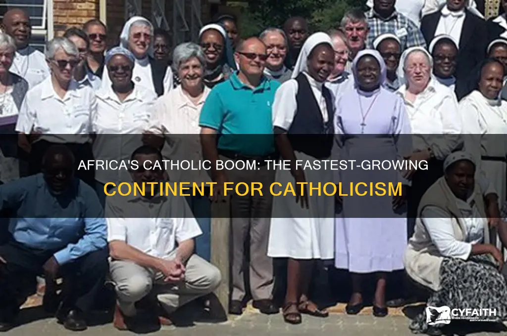which continent has the fastest growing number of catholics