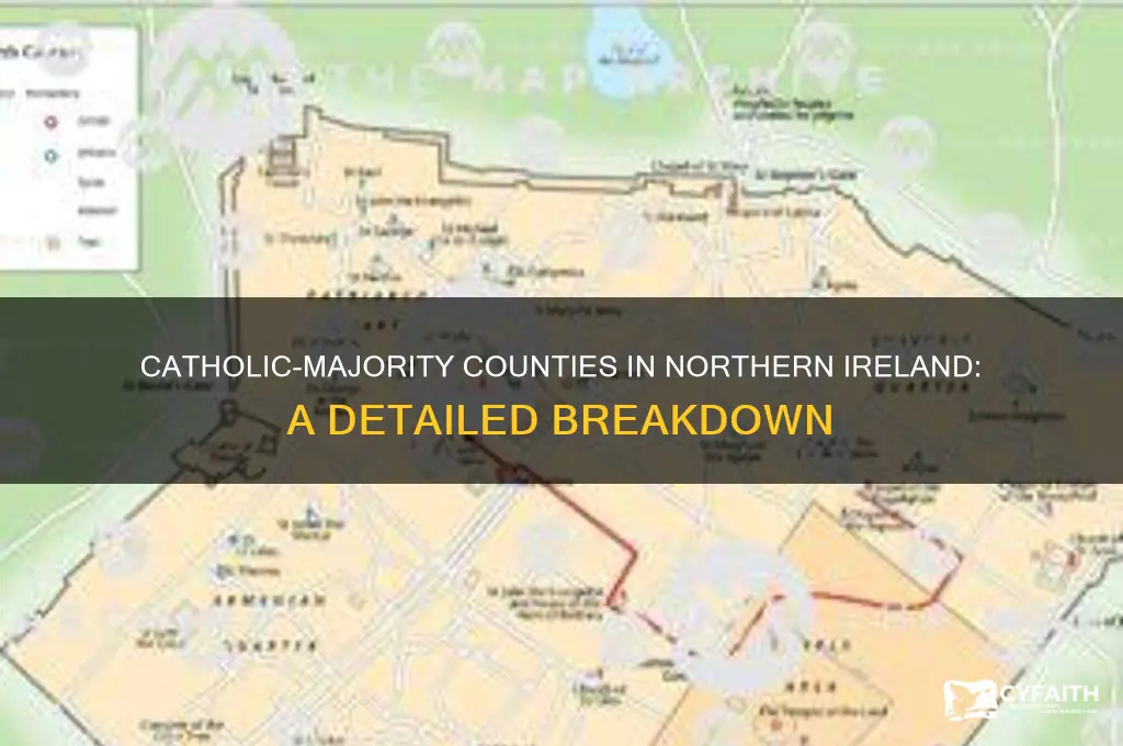 which counties in northern ireland have a catholic majority