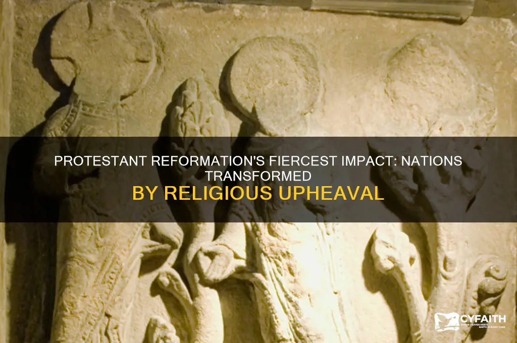 which countries did the protestant reformation hit the hardest