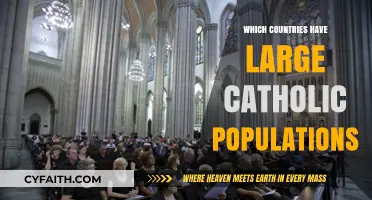 Exploring Nations with Significant Catholic Populations: A Global Overview