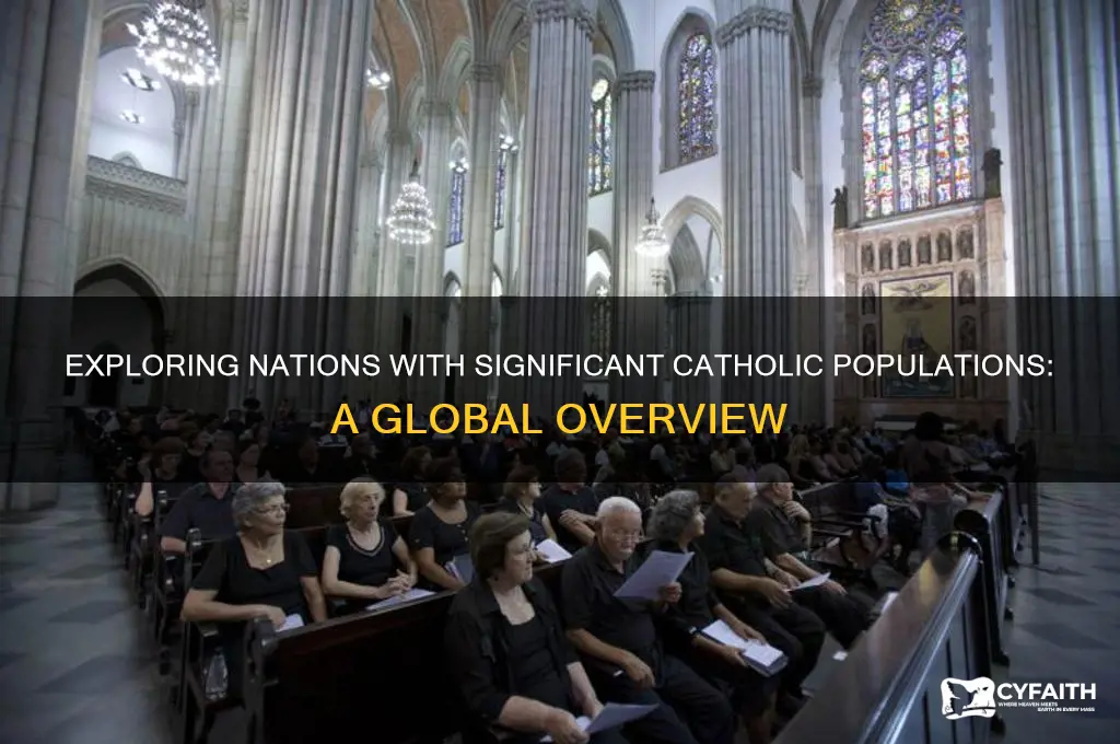 which countries have large catholic populations
