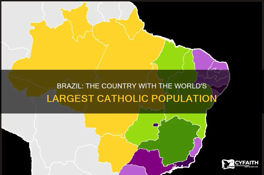 which country has more catholics than any other country