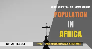 Africa's Catholic Giant: Which Nation Leads in Devout Followers?