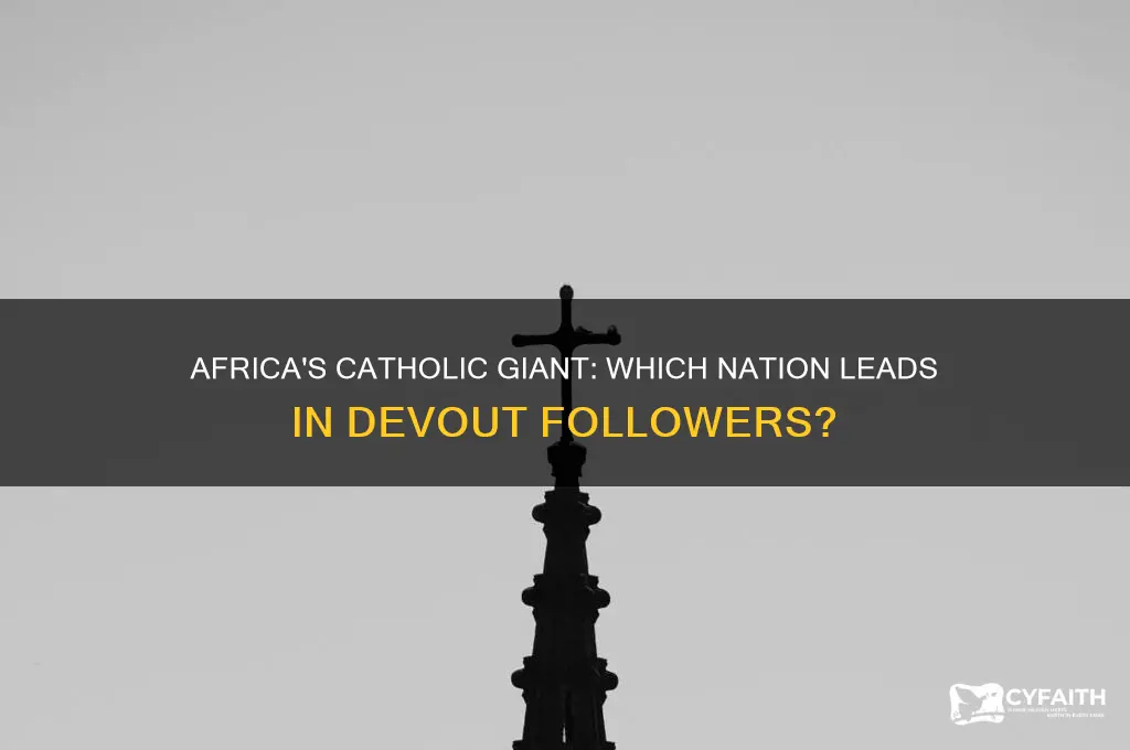 which country has the largest catholic population in africa