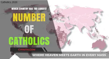 Global Catholicism: Which Nation Leads in Catholic Population?