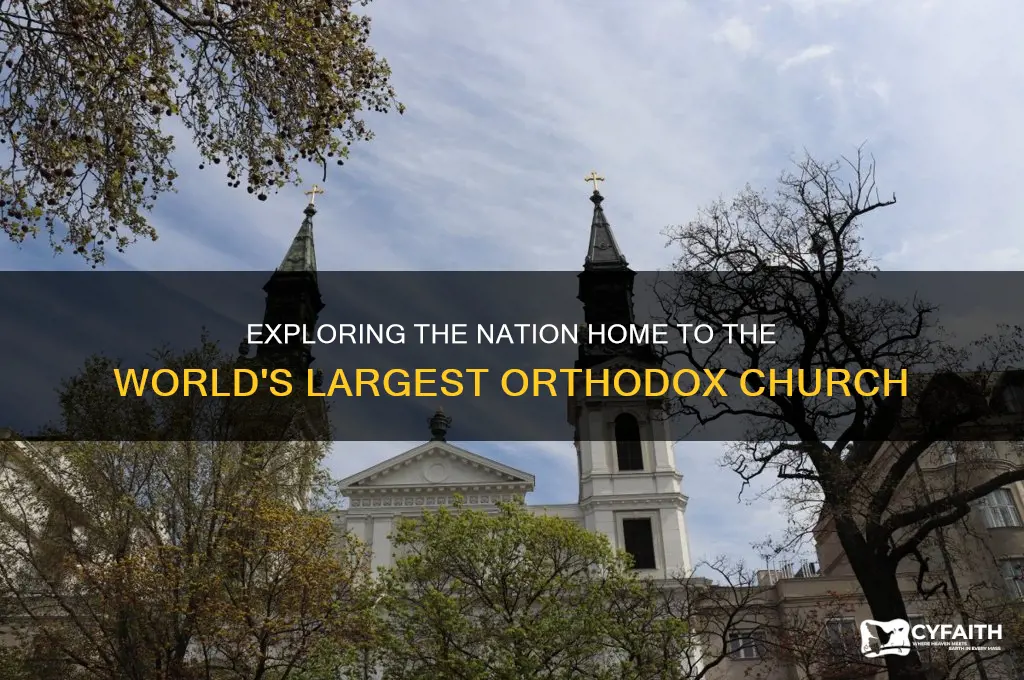 which country has the largest orthodox church