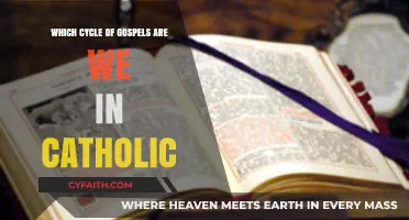 Understanding the Catholic Lectionary's Gospel Cycle: Which Year Are We In?