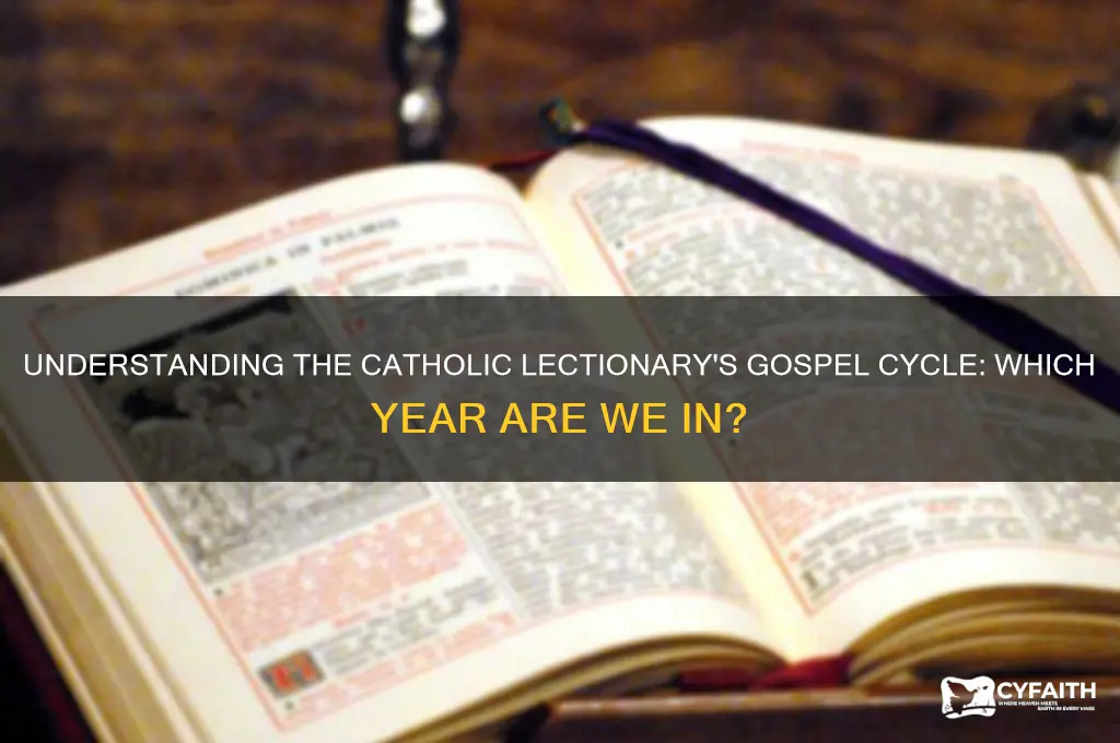 which cycle of gospels are we in catholic