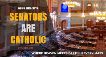Catholic Democratic Senators: Faith and Politics in the Senate