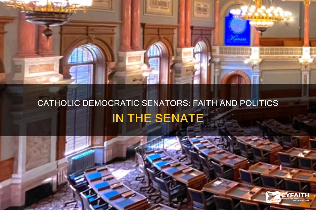 which democratic senators are catholic