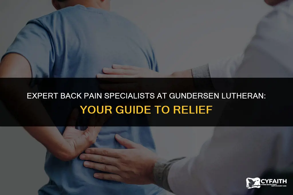which doctors at gundersen lutheran specialize in back pain