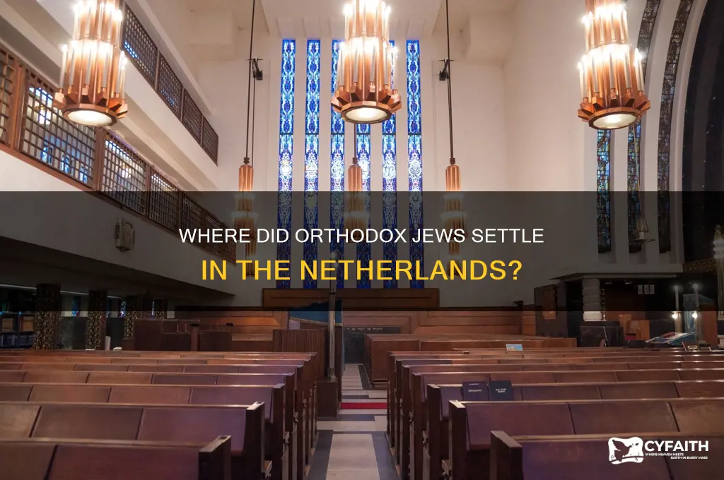 which dutch city did orthodox jews settle in