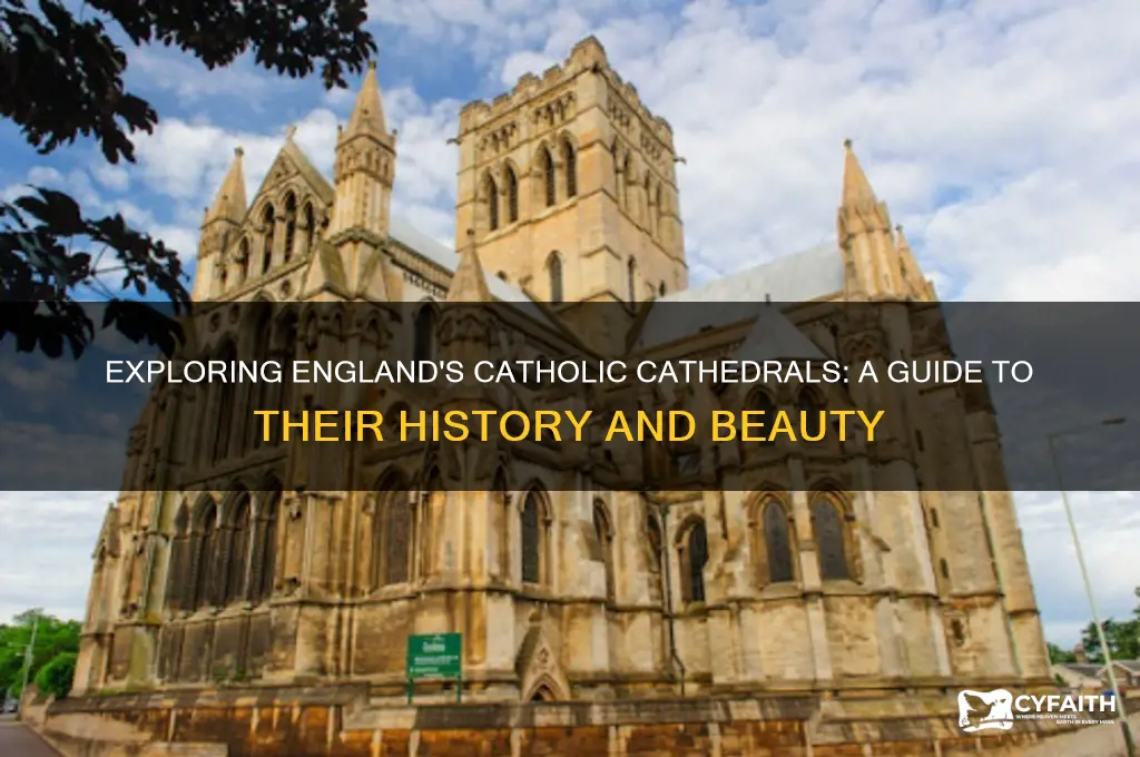 which english cathedrals are catholic