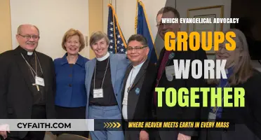 Uniting for Change: Evangelical Advocacy Groups Collaborate