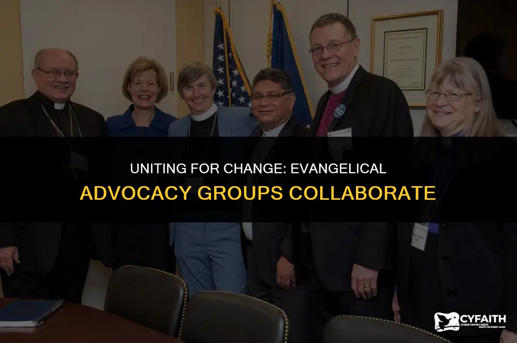 which evangelical advocacy groups work together